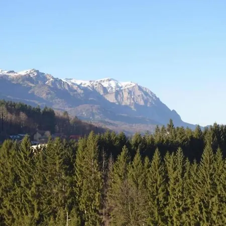 Apartment Mountain Sinaia